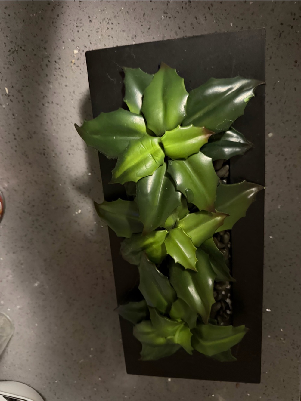 Modern Rectangular Faux Green Succulent Planter plant home decor